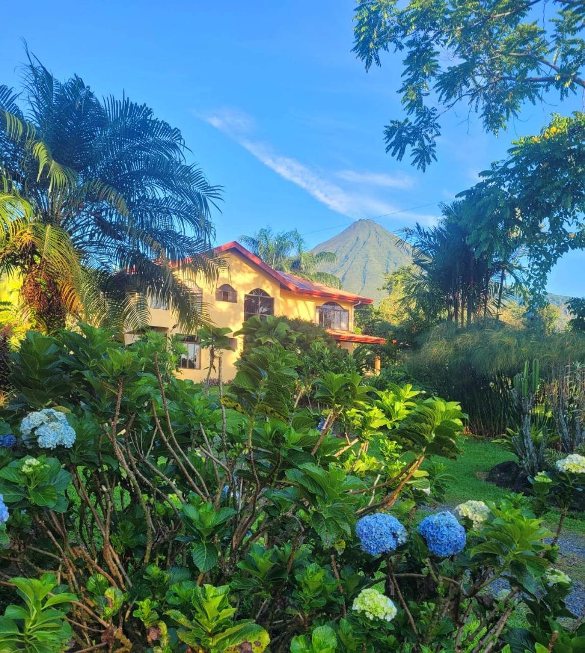 Yellow Tree Suites La Fortuna Extérieur photo
